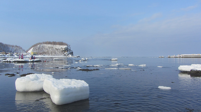 北海道知床斜里流冰漫步_img_25