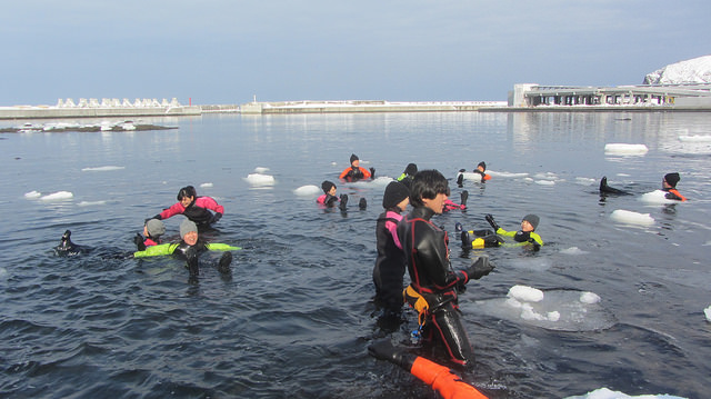 北海道知床斜里流冰漫步_img_28