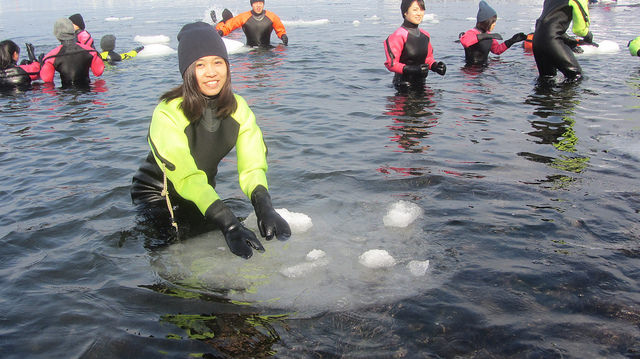 北海道知床斜里流冰漫步_img_29