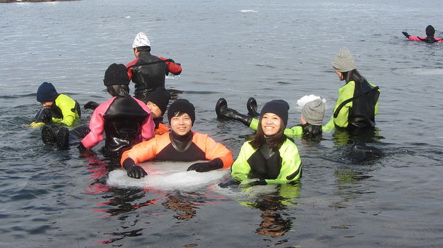 北海道知床斜里流冰漫步_img_32