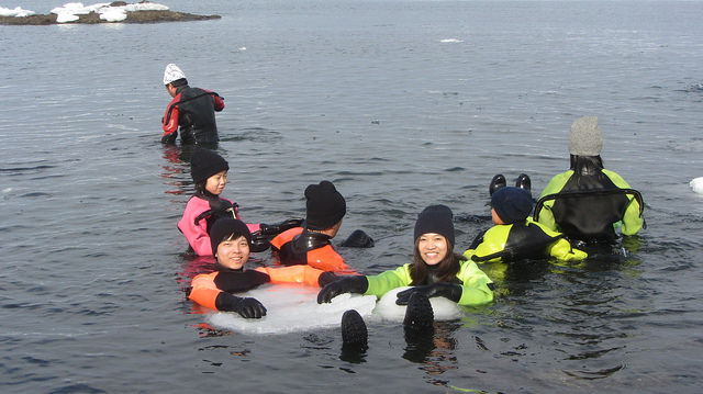 北海道知床斜里流冰漫步_img_33