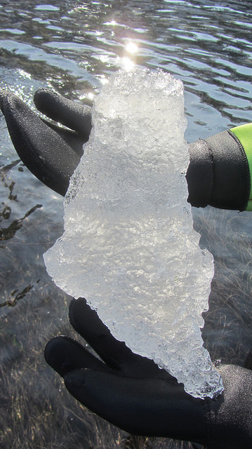 北海道知床斜里流冰漫步_img_35