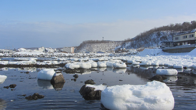北海道知床斜里流冰漫步_img_36