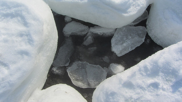 北海道知床斜里流冰漫步_img_37