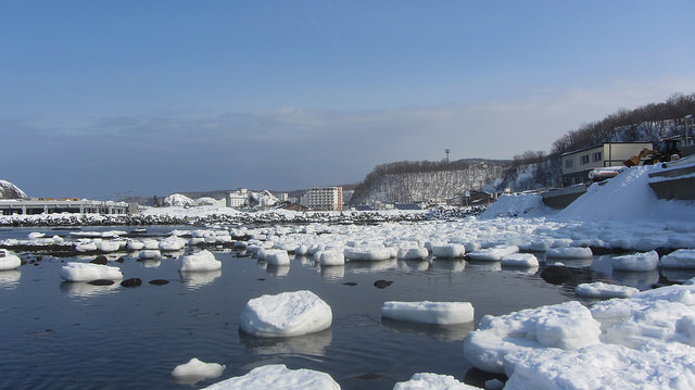 北海道知床斜里流冰漫步_img_38