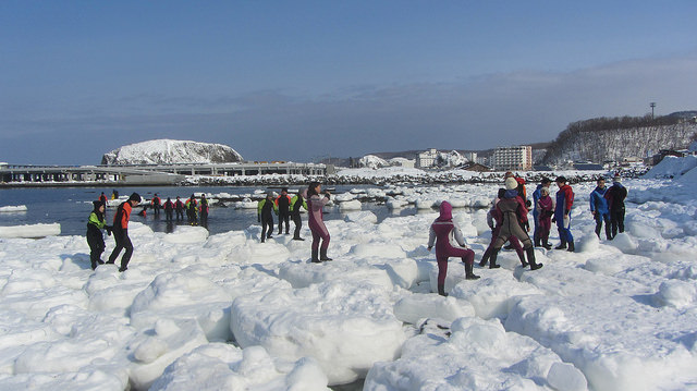 北海道知床斜里流冰漫步_img_39