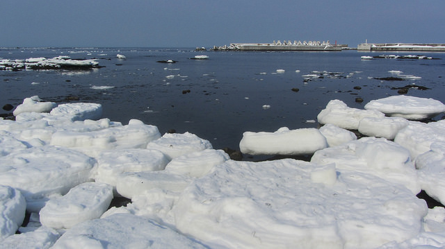 北海道知床斜里流冰漫步_img_40