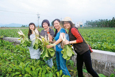 網路認股預約消費 美濃蘿蔔收益增3成_img_1