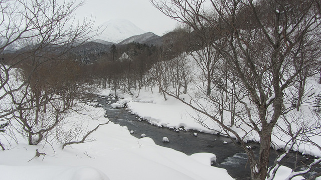 嚴冬的世界遺產銀白世界絕景 知床五湖健行_img_8