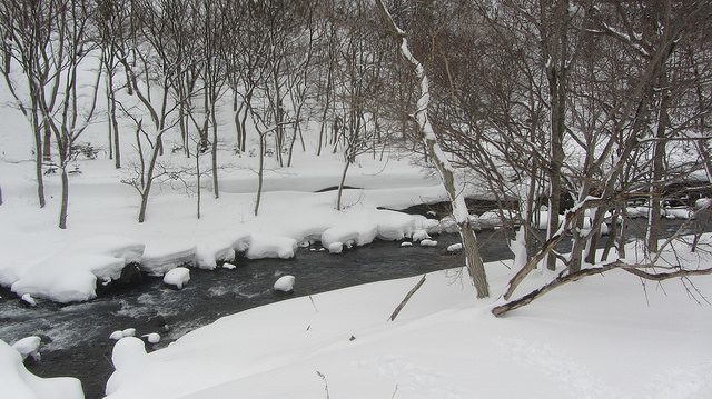 嚴冬的世界遺產銀白世界絕景 知床五湖健行_img_9
