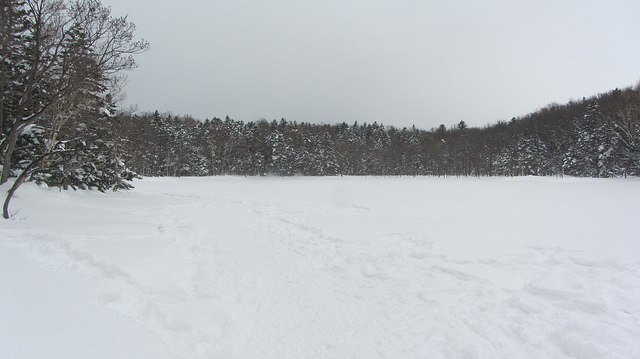嚴冬的世界遺產銀白世界絕景 知床五湖健行_img_22