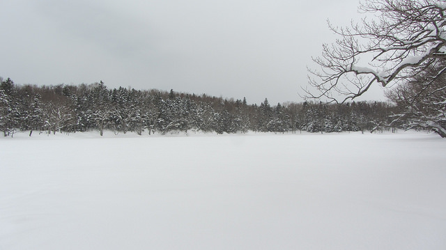 嚴冬的世界遺產銀白世界絕景 知床五湖健行_img_23