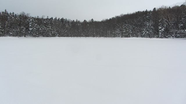 嚴冬的世界遺產銀白世界絕景 知床五湖健行_img_24