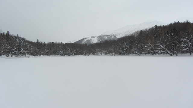 嚴冬的世界遺產銀白世界絕景 知床五湖健行_img_26