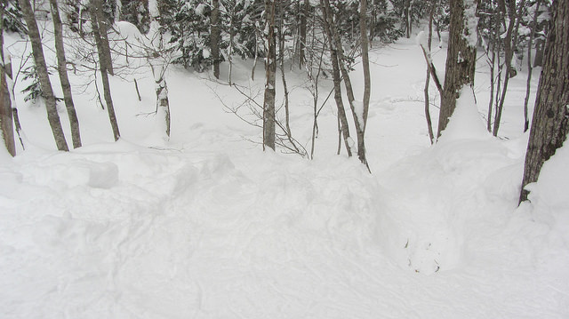 嚴冬的世界遺產銀白世界絕景 知床五湖健行_img_28