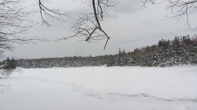 嚴冬的世界遺產銀白世界絕景 知床五湖健行_img_30