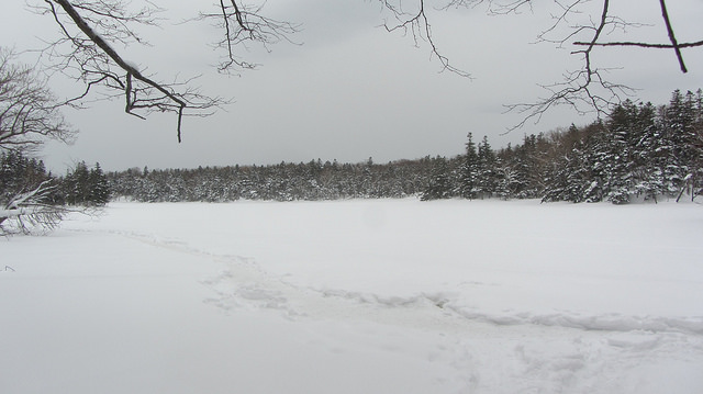 嚴冬的世界遺產銀白世界絕景 知床五湖健行_img_31
