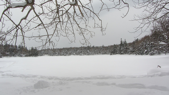 嚴冬的世界遺產銀白世界絕景 知床五湖健行_img_32