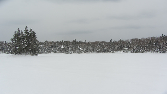 嚴冬的世界遺產銀白世界絕景 知床五湖健行_img_34