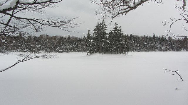嚴冬的世界遺產銀白世界絕景 知床五湖健行_img_35
