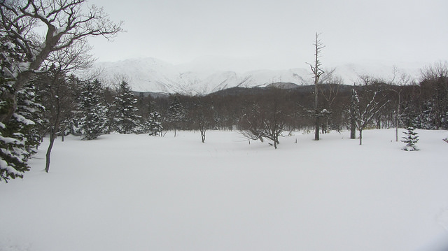 嚴冬的世界遺產銀白世界絕景 知床五湖健行_img_36