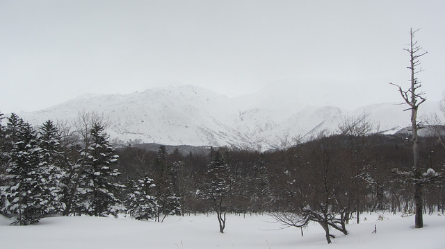 嚴冬的世界遺產銀白世界絕景 知床五湖健行_img_37