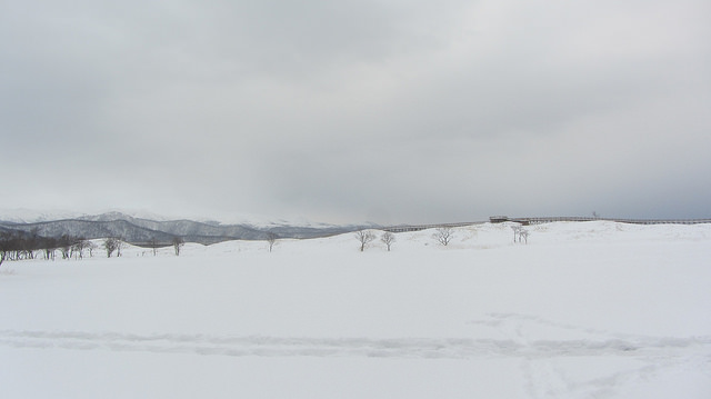 嚴冬的世界遺產銀白世界絕景 知床五湖健行_img_44