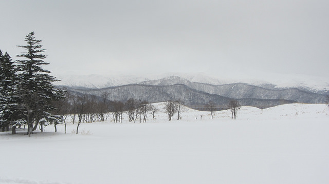 嚴冬的世界遺產銀白世界絕景 知床五湖健行_img_46