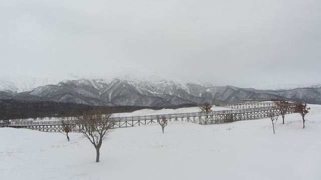 嚴冬的世界遺產銀白世界絕景 知床五湖健行_img_50