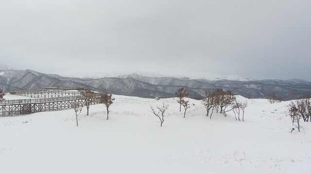 嚴冬的世界遺產銀白世界絕景 知床五湖健行_img_51