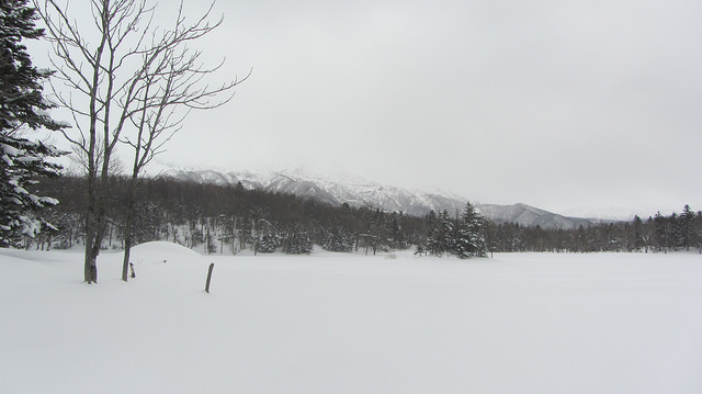 嚴冬的世界遺產銀白世界絕景 知床五湖健行_img_39