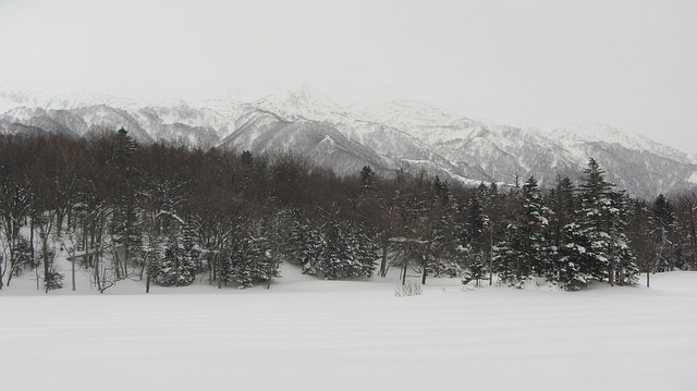 嚴冬的世界遺產銀白世界絕景 知床五湖健行_img_40
