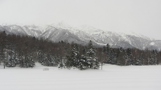 嚴冬的世界遺產銀白世界絕景 知床五湖健行_img_41