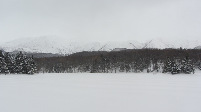 嚴冬的世界遺產銀白世界絕景 知床五湖健行_img_42