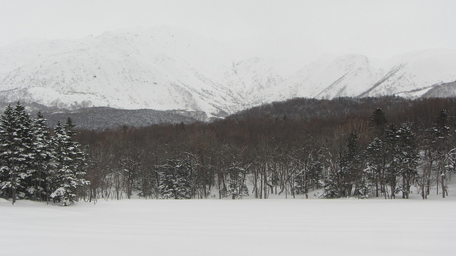 嚴冬的世界遺產銀白世界絕景 知床五湖健行_img_43