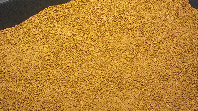 朝日啤酒北海道工廠 免費導覽、暢飲啤酒_img_7