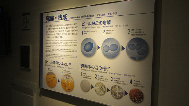 朝日啤酒北海道工廠 免費導覽、暢飲啤酒_img_9