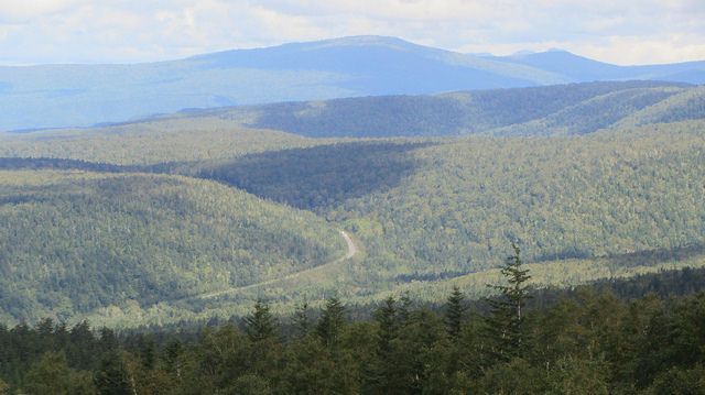 十勝岳望岳台&白ひげの滝(白鬚瀑布)&白金青池_img_15