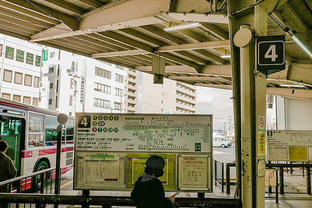 來看1300年歷史的老櫻花！日本天皇親手種下的垂柳式吉野櫻_img_4