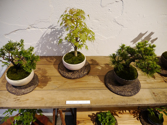 一週只賣一種書，造訪世界上最特別的書店！_img_10