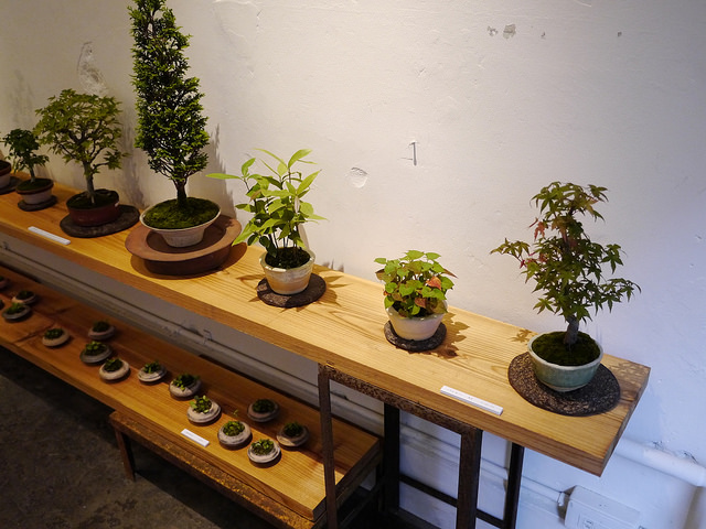 一週只賣一種書，造訪世界上最特別的書店！_img_11