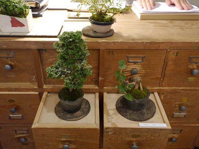 一週只賣一種書，造訪世界上最特別的書店！_img_12