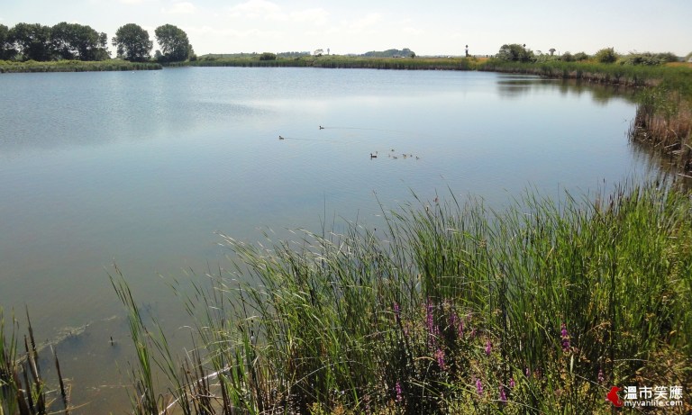 走，讓我們看飛機去！溫哥華4處最佳看飛機景點_img_4