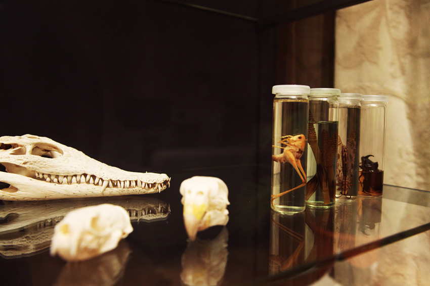 就像充滿故事的藏寶圖！居家設計佈置也能很有個性_img_22