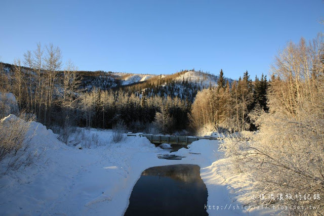 在冰天雪地的阿拉斯加，和雪橇犬一起瘋狂奔馳！_img_3