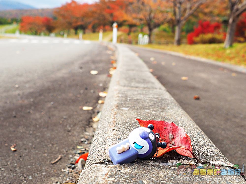 這樣的景色美翻眾人！前進日本松川溪谷賞絕美楓葉_img_3