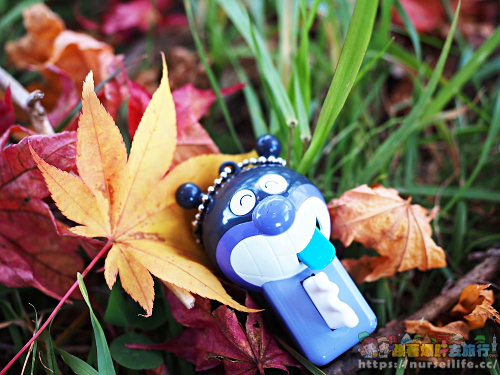 這樣的景色美翻眾人！前進日本松川溪谷賞絕美楓葉_img_9