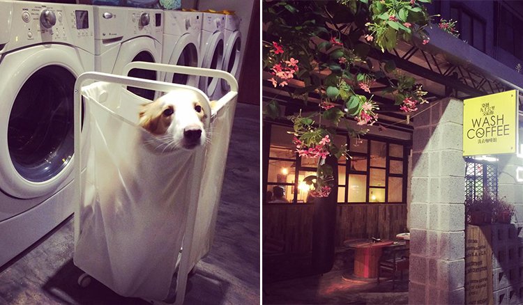 洗衣服還剩40分鐘？來亞洲首間「洗衣咖啡館」邊洗衣服邊喝咖啡吧！_img_3
