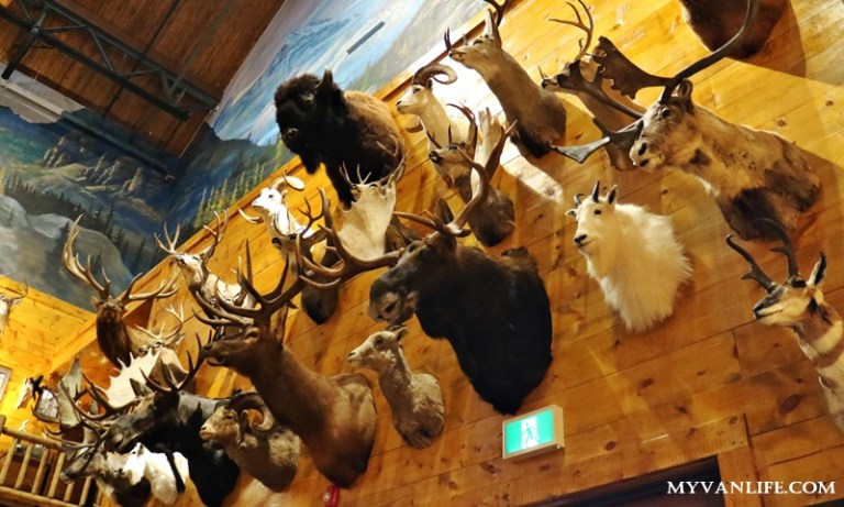 在曠野中血拚!走訪溫哥華原住民風格購物中心_img_15