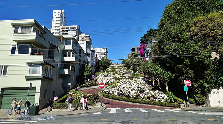 遊舊金山前，先瞭解特殊的「天龍國」文化！_img_7